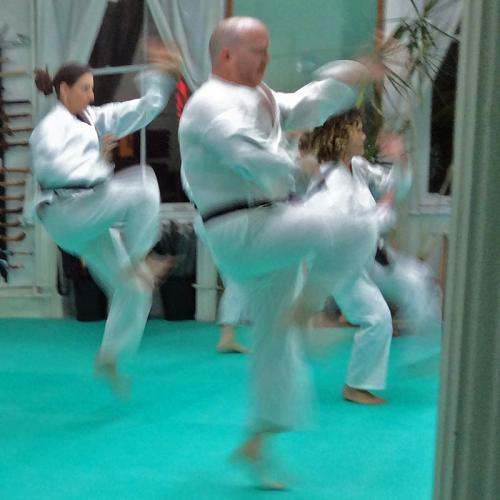 Nabi Su Tai Chi, Kung Fu & Energy — photo 1