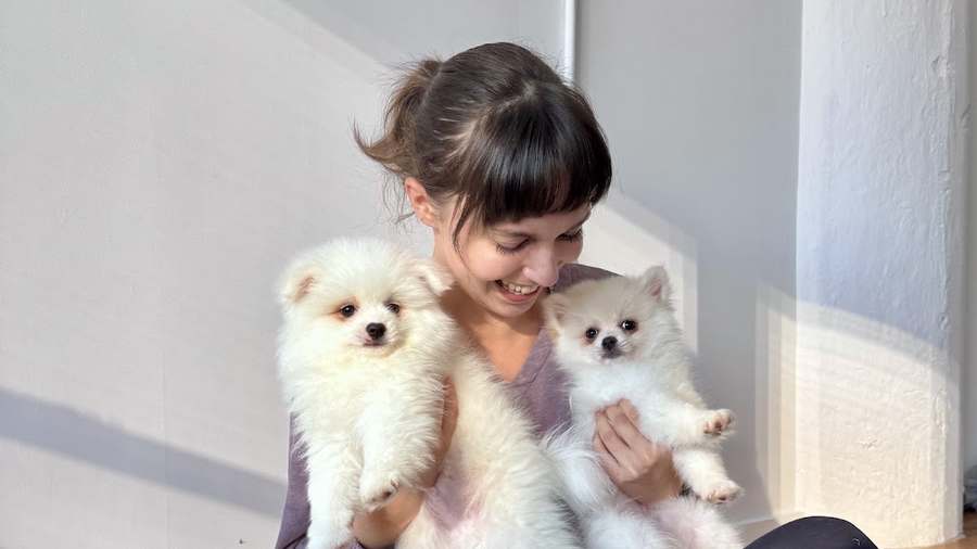 Puppy Yoga NYC - Midtown Manhattan (Puppy Yoga USA) — photo 1