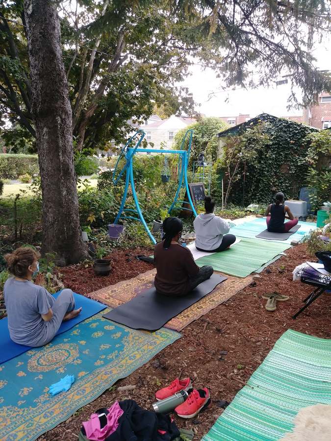 PUREST LIGHT WELLNESS — photo 1
