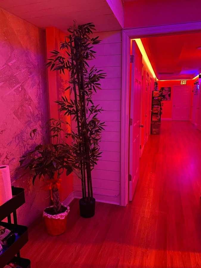 Thai spa — photo 1