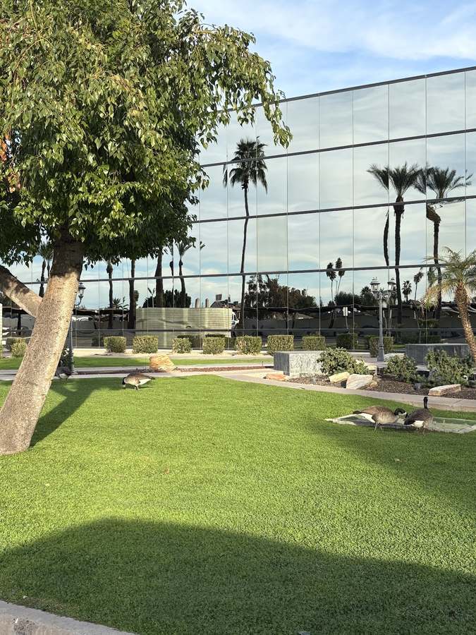 Alternative Medicine & Education Center — Reiki & Energy Medicine in N 28th Dr Ste 215, Phoenix