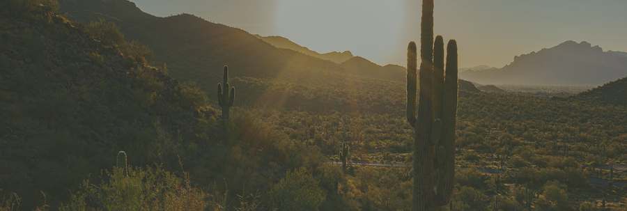 Lumē Wellness — Diet & Nutrition in W Happy Valley Rd Ste 120, Phoenix