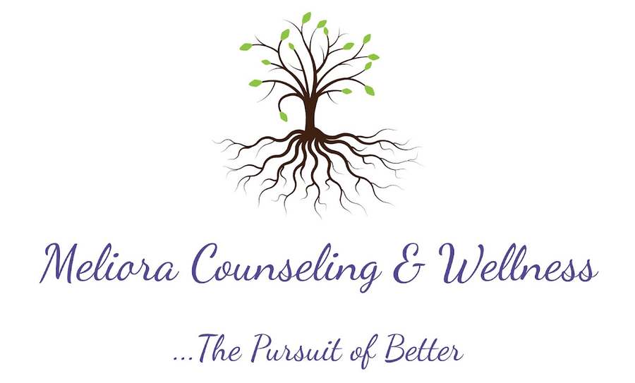 Meliora Counseling & Wellness — Psychotherapy in N 31st Ave #C307, Phoenix