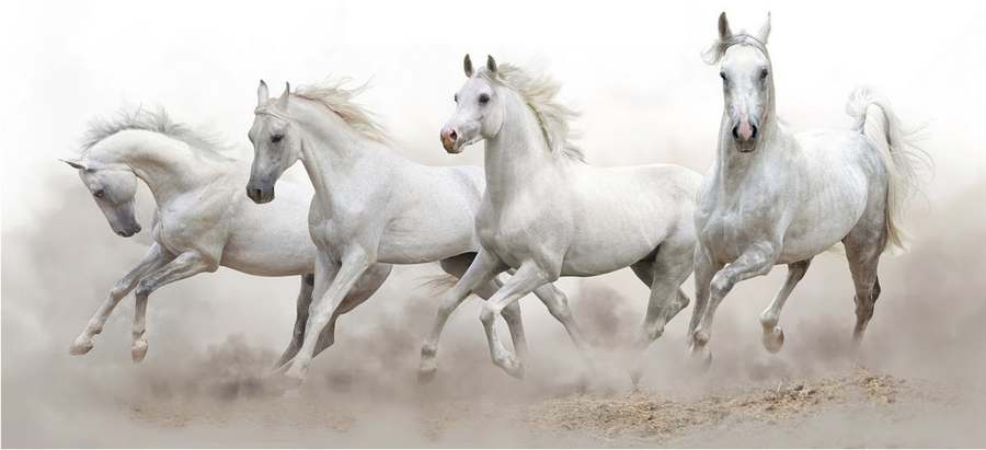 ThunderHorse Healing (Reiki, Shamanic Healing, Cleanses, Sound Healing, Spiritual Counseling) — Reiki & Energy Medicine in N 19th Ave &, Phoenix