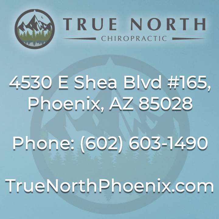 True North Chiropractic — Massage Therapy in E Shea Blvd #165, Phoenix