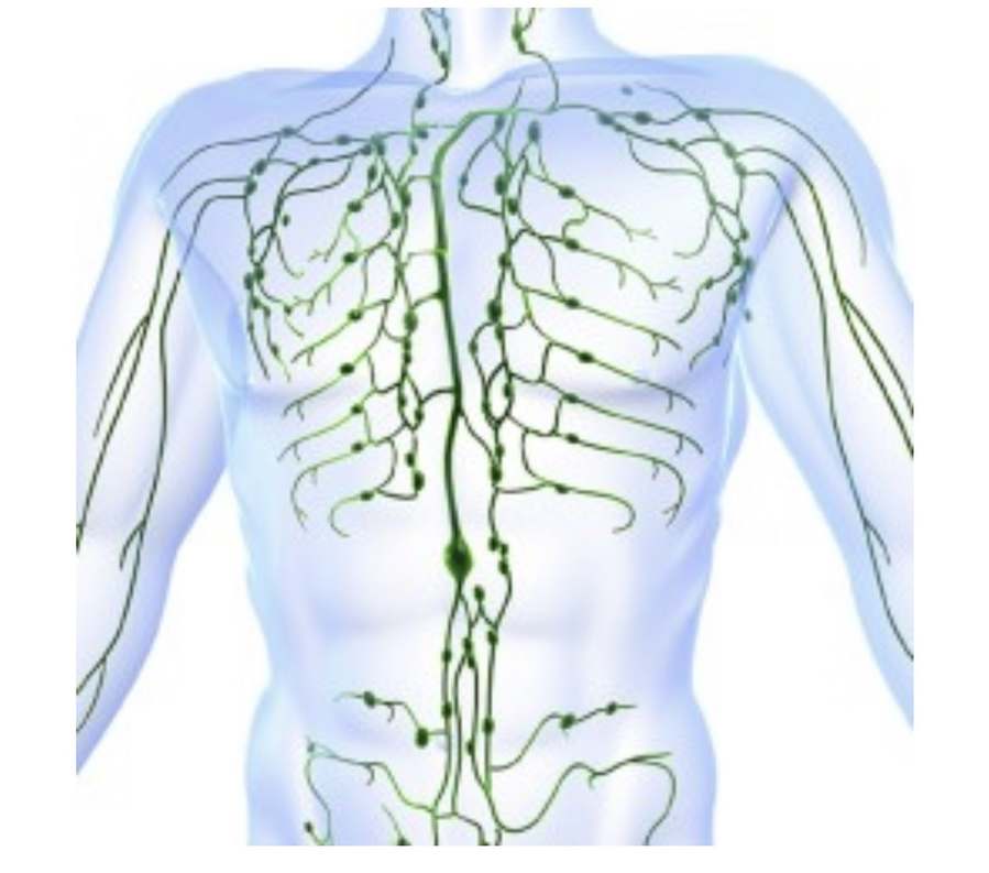 Integrative Healing — photo 1
