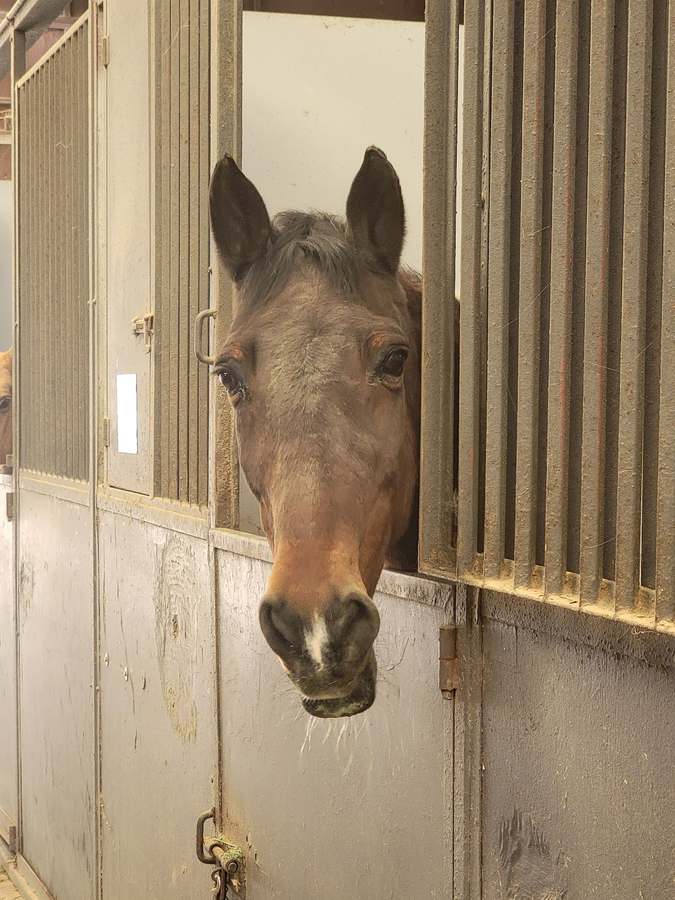 Stable Relationships — photo 1