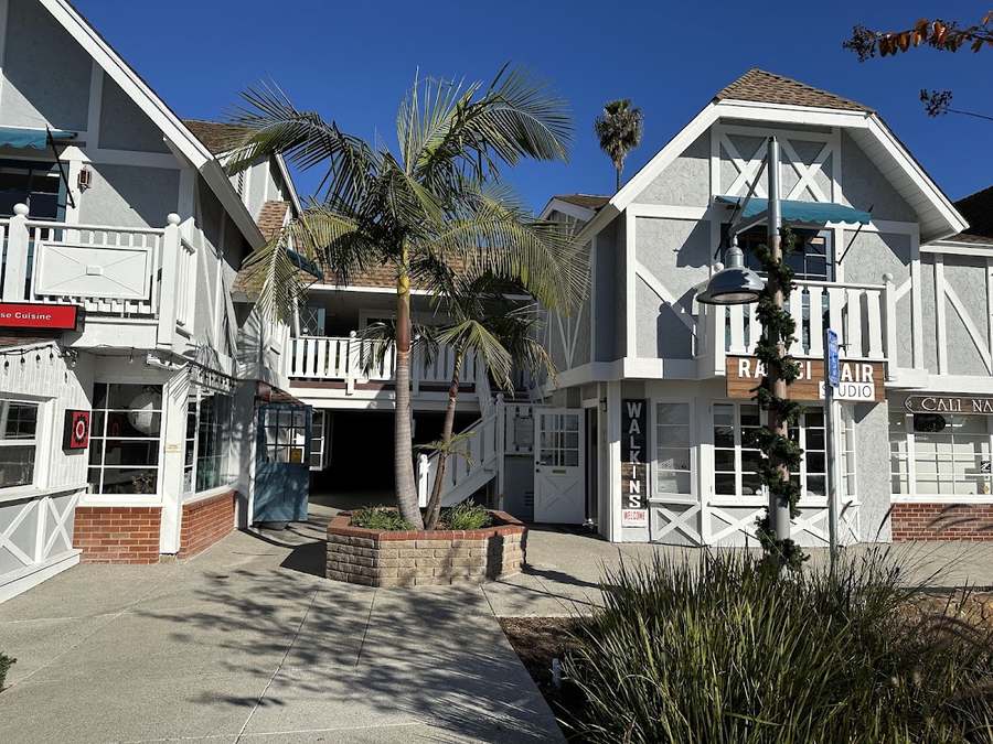 Thriving Wellbeing Holistic Integrative Medicine & Acupuncture ( Dr. V & Lina) — Acupuncture in Camino Del Mar #240, San Diego