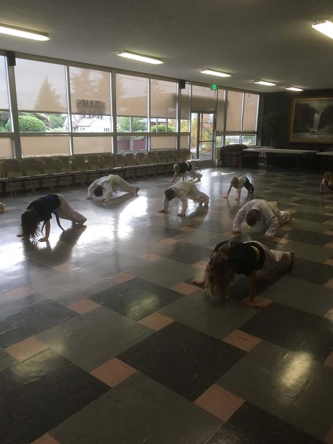 Alki Taekwondo — photo 1