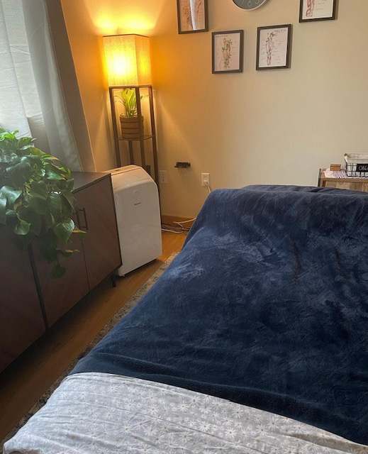 Ballard Massage CBD Cupping Intraoral Massage Lymphatic Drainage| Lisa Sackie Warrior Wellness — Cupping Therapy in NW 54th St #250, Seattle