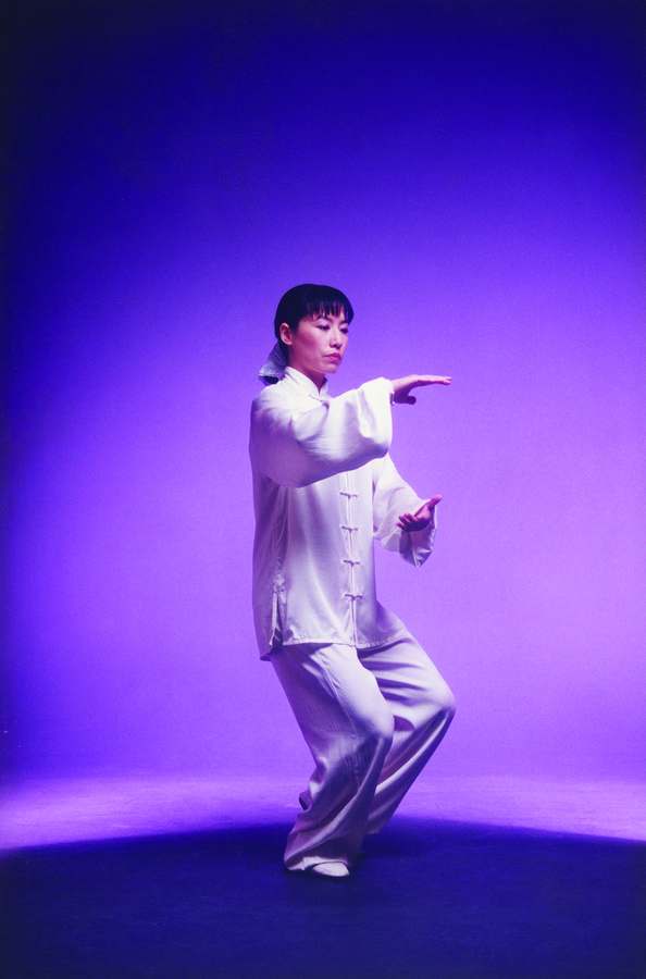 Chinese Wushu & Tai Chi Academy LLC — photo 1
