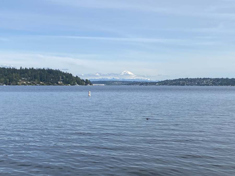 Columbia City Sports and Spine — Chiropractic in 50th Ave S, Seattle