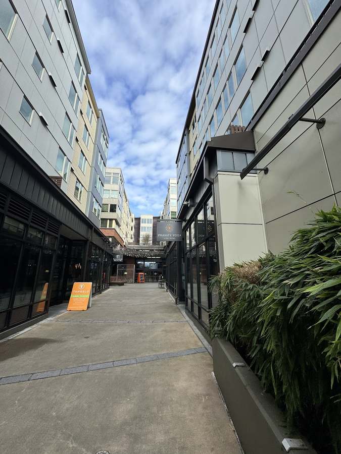 Halea Yoga — photo 1