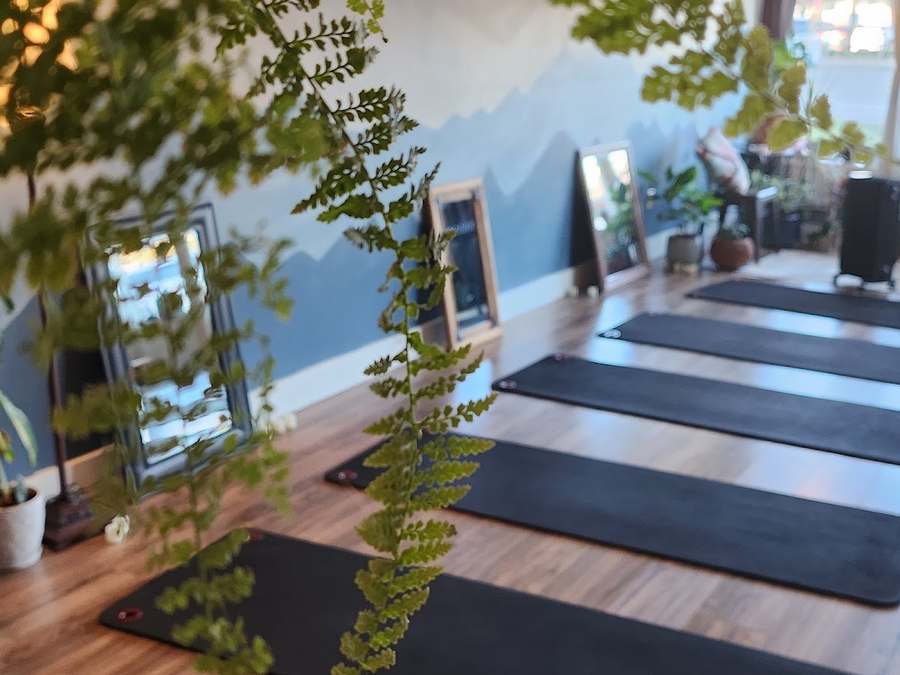 Life in the Body : Pilates, Yoga, Energy Tuning, Meditation — photo 1