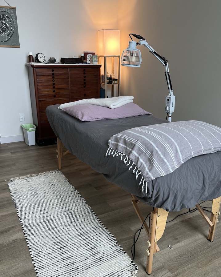 Nancy Scheyer LAc - Southend Acupuncture & Wellness — Acupuncture in Ellis Ave S, Seattle