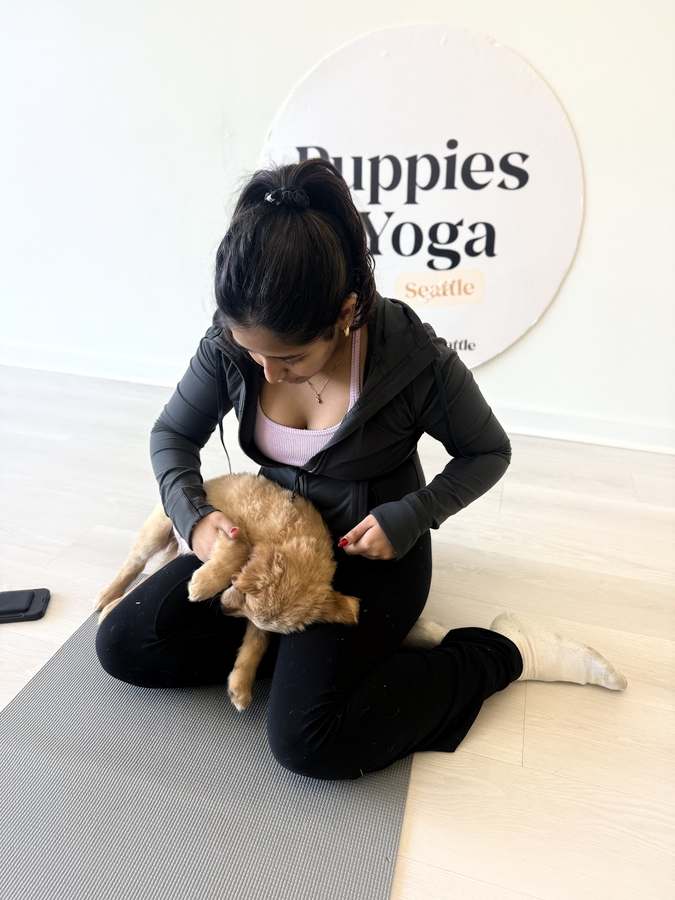 Puppy Yoga Seattle - Belltown (Puppies Yoga) — photo 1