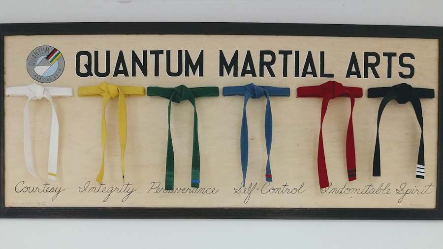 Quantum Martial Arts — photo 1