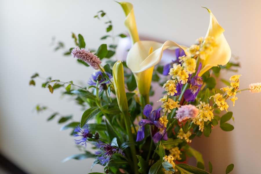Thrive Together Healing Arts — Reiki & Energy Medicine in Airport Wy S Ste 743, Seattle