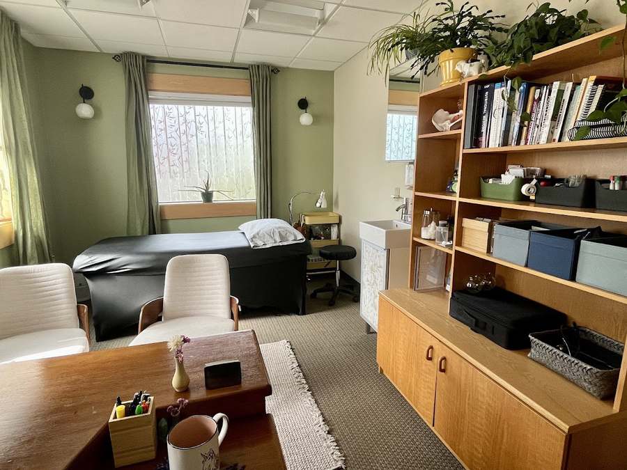 Virtual Integrative Specialists - Dr. Rachel Erickson, ND & Associates — Naturopathic Medicine in Stone Way N #300, Seattle